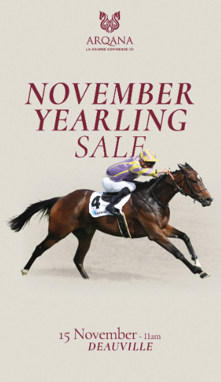 sales